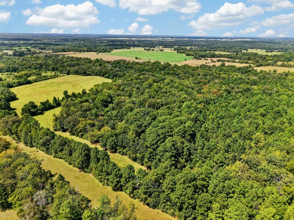 42.6 acres in Texas County - photo 40