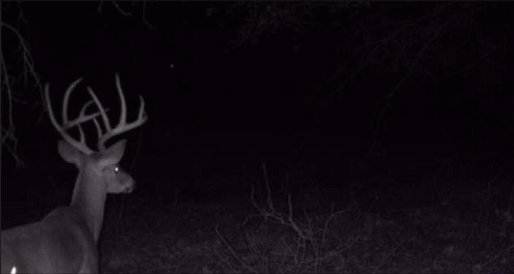 42.6 acres in Texas County - photo 6