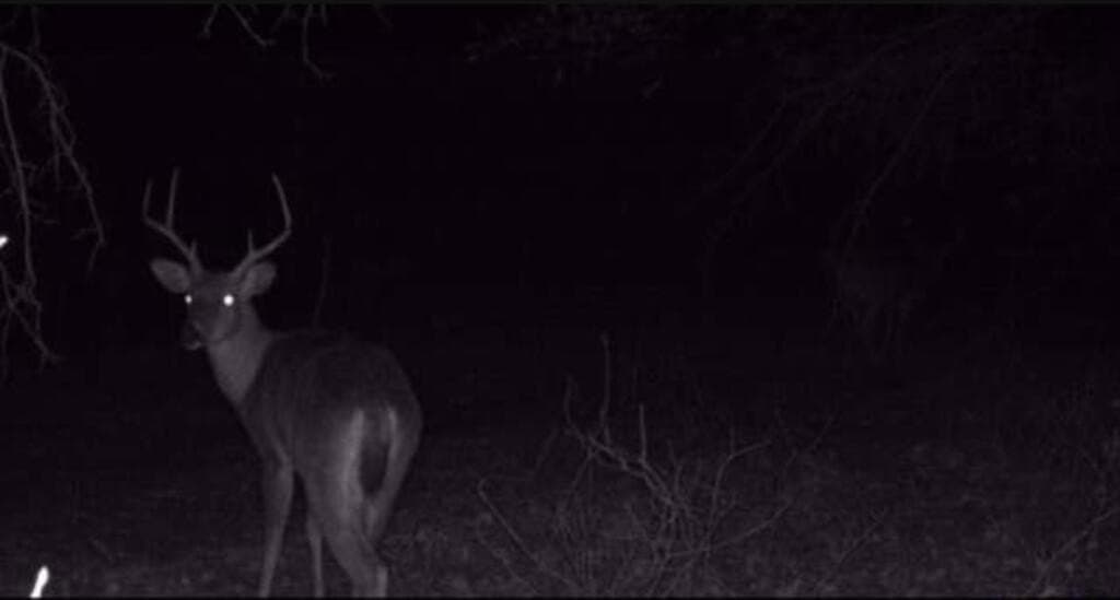 42.6 acres in Texas County - photo 45