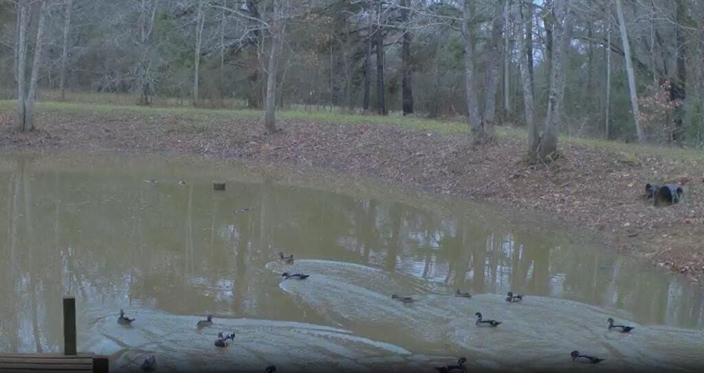 42.6 acres in Texas County - photo 47