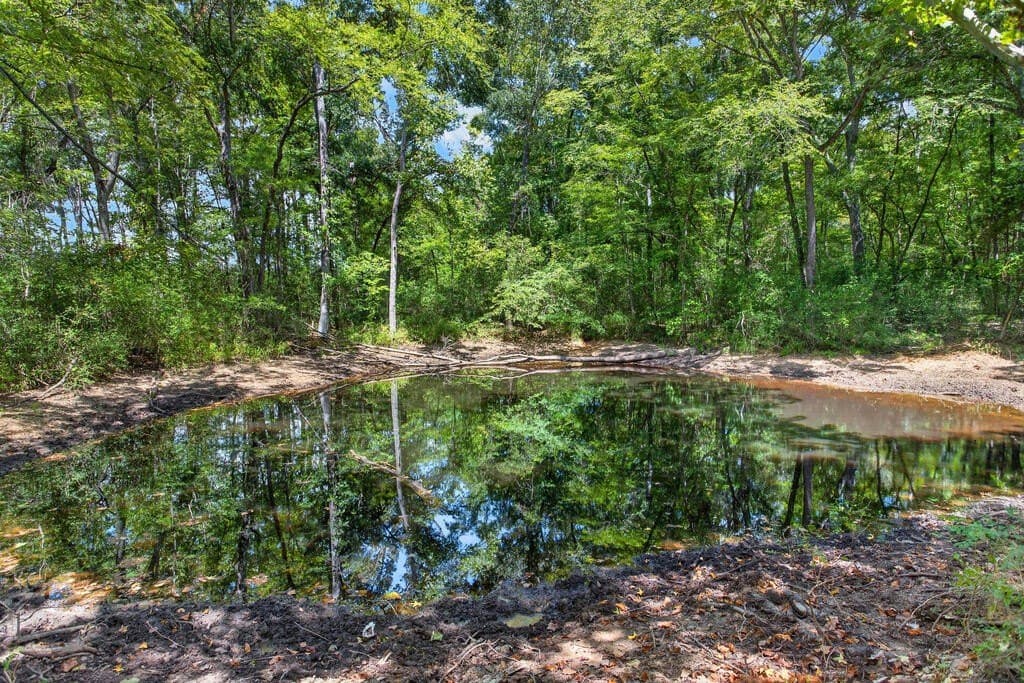 42.6 acres in Texas County - photo 4