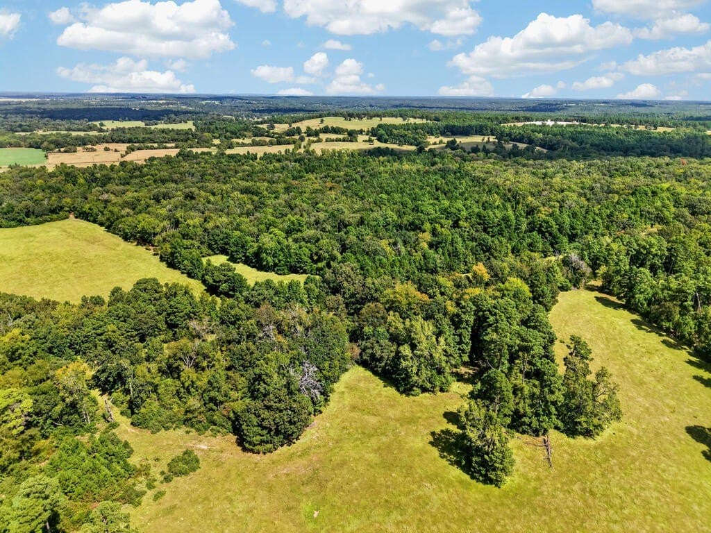42.6 acres in Texas County - photo 39