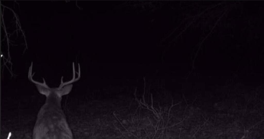 42.6 acres in Texas County - photo 43