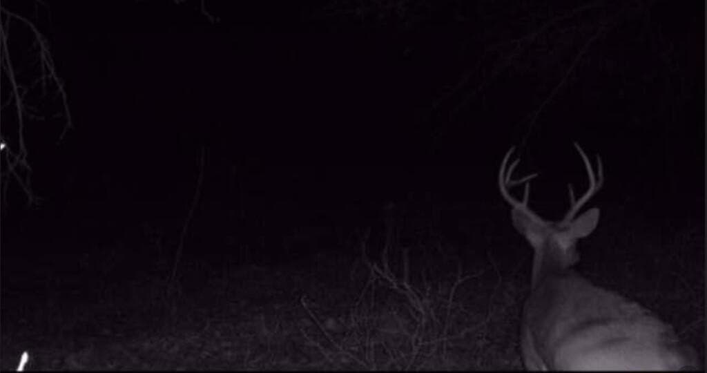 42.6 acres in Texas County - photo 44