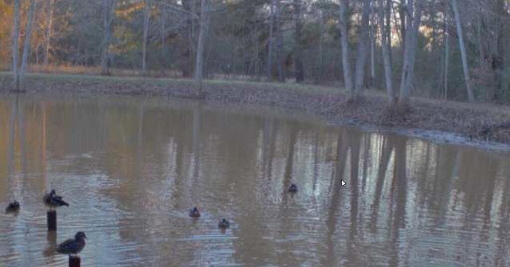42.6 acres in Texas County - photo 46