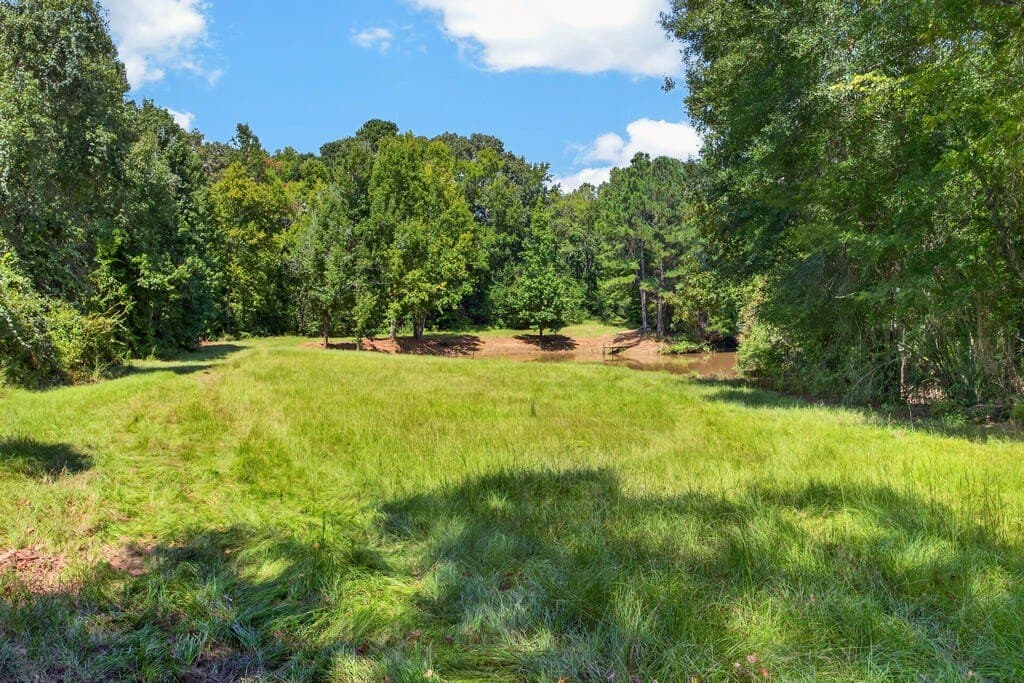 42.6 acres in Texas County - photo 5