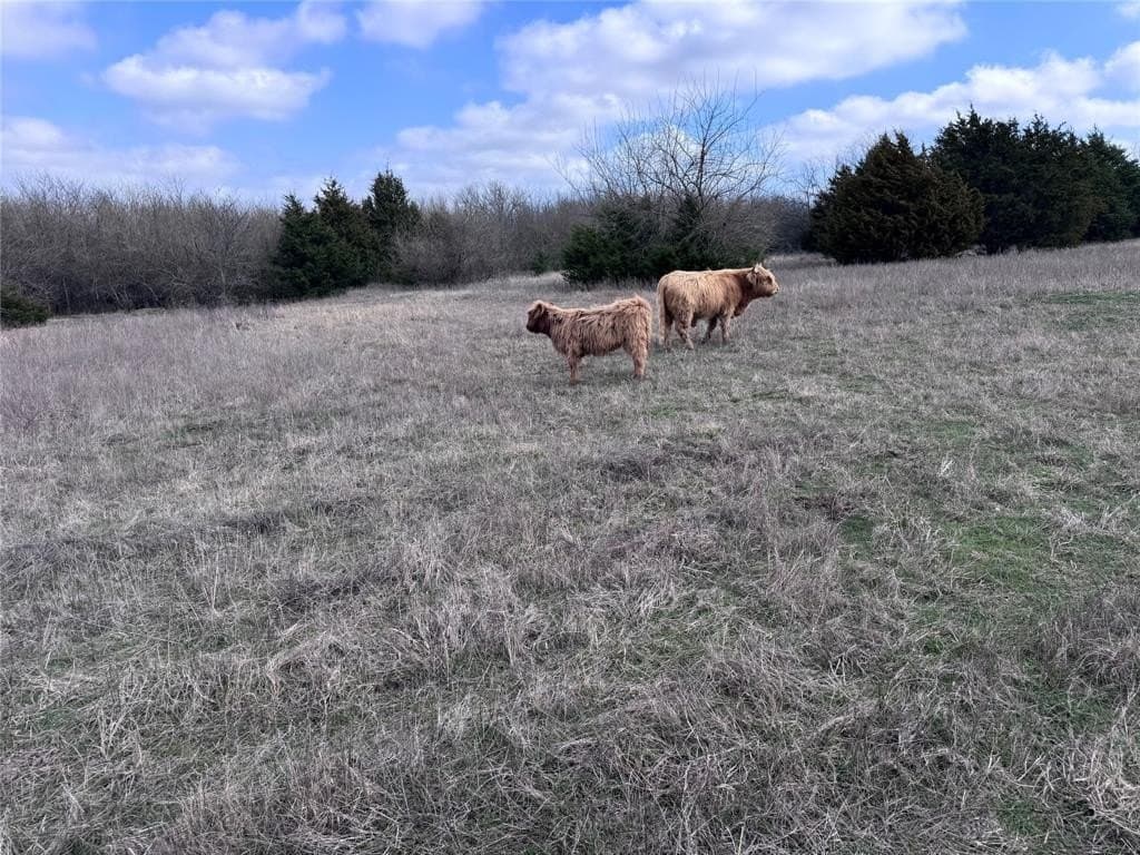 37 acres in Hunt County