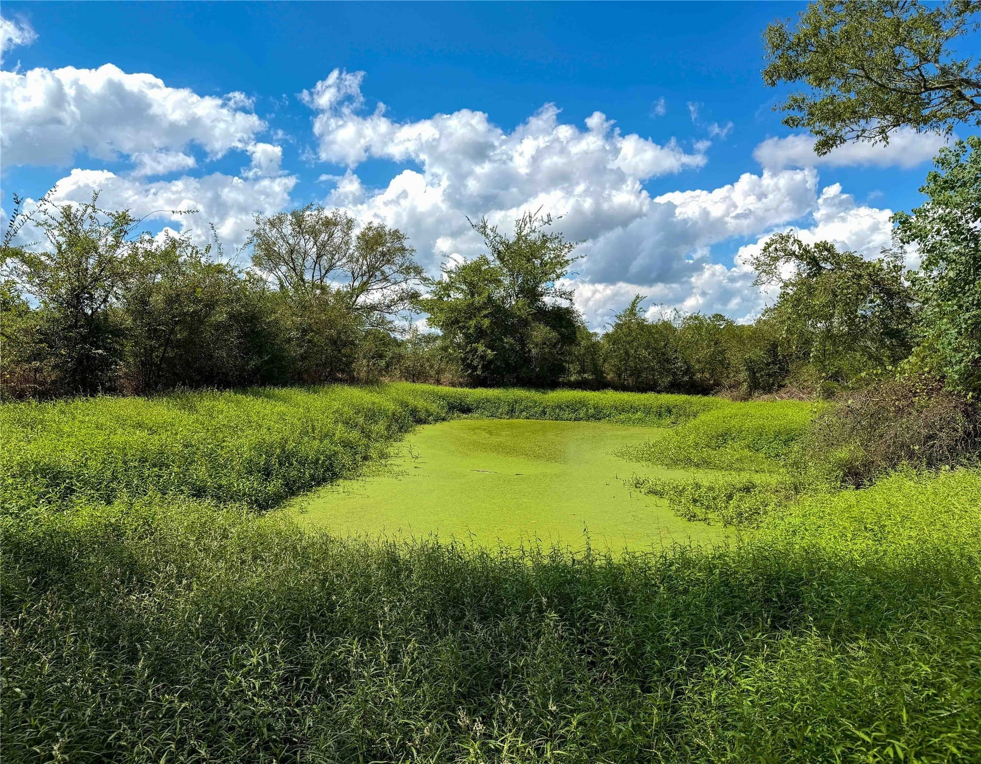 13.67 acres in Houston County - photo 11