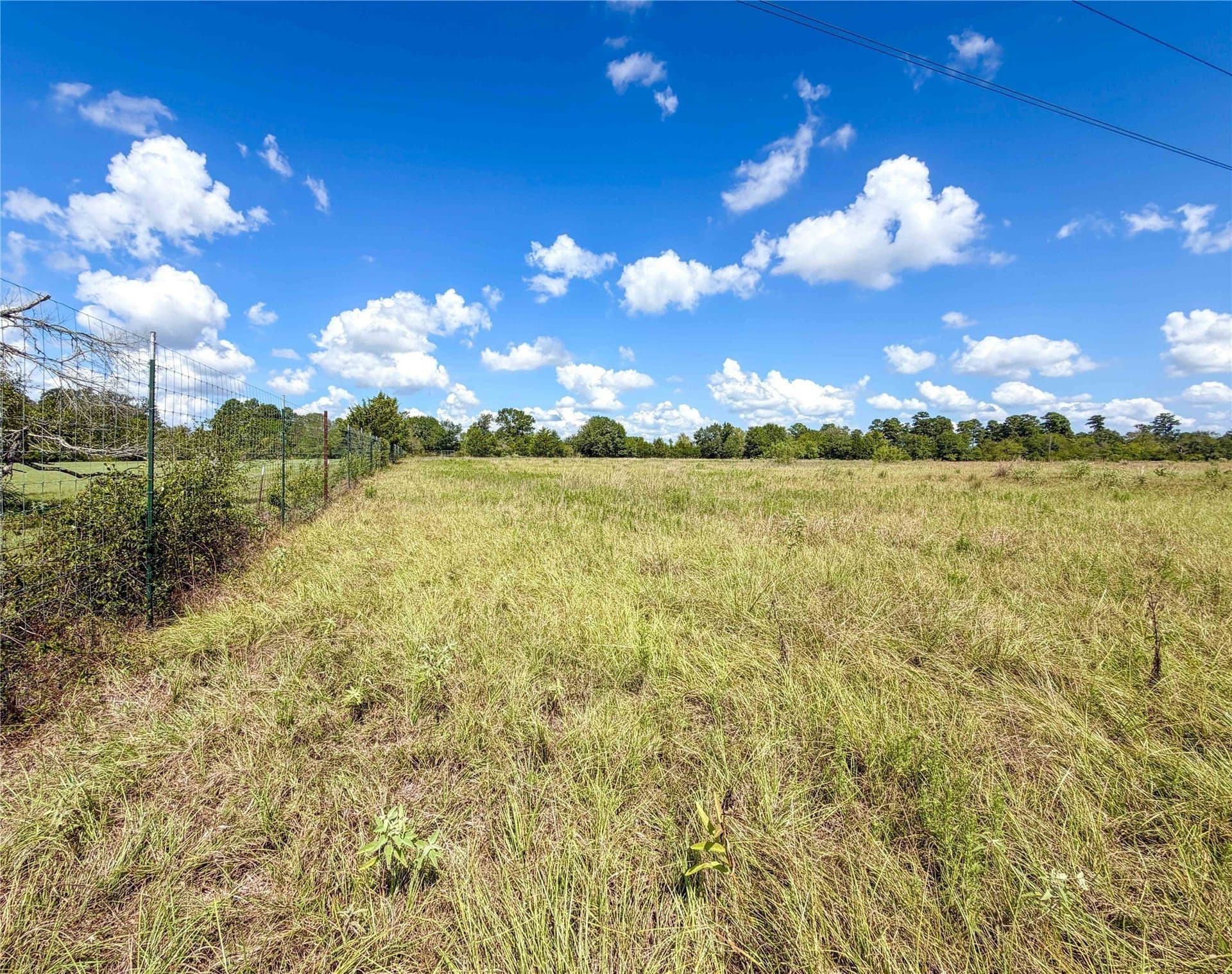 13.67 acres in Houston County - photo 9