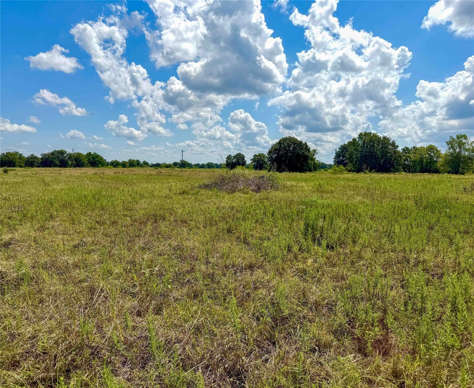13.67 acres in Houston County - photo 6