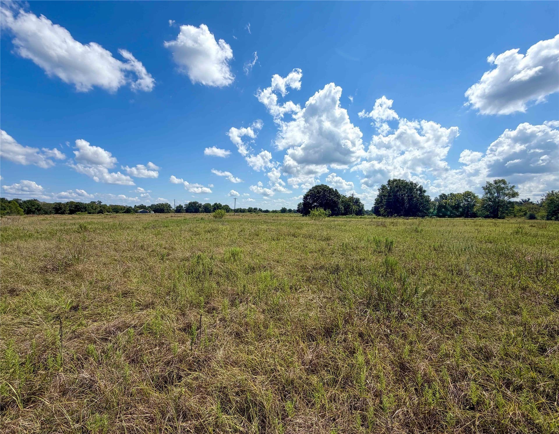 13.67 acres in Houston County - photo 7