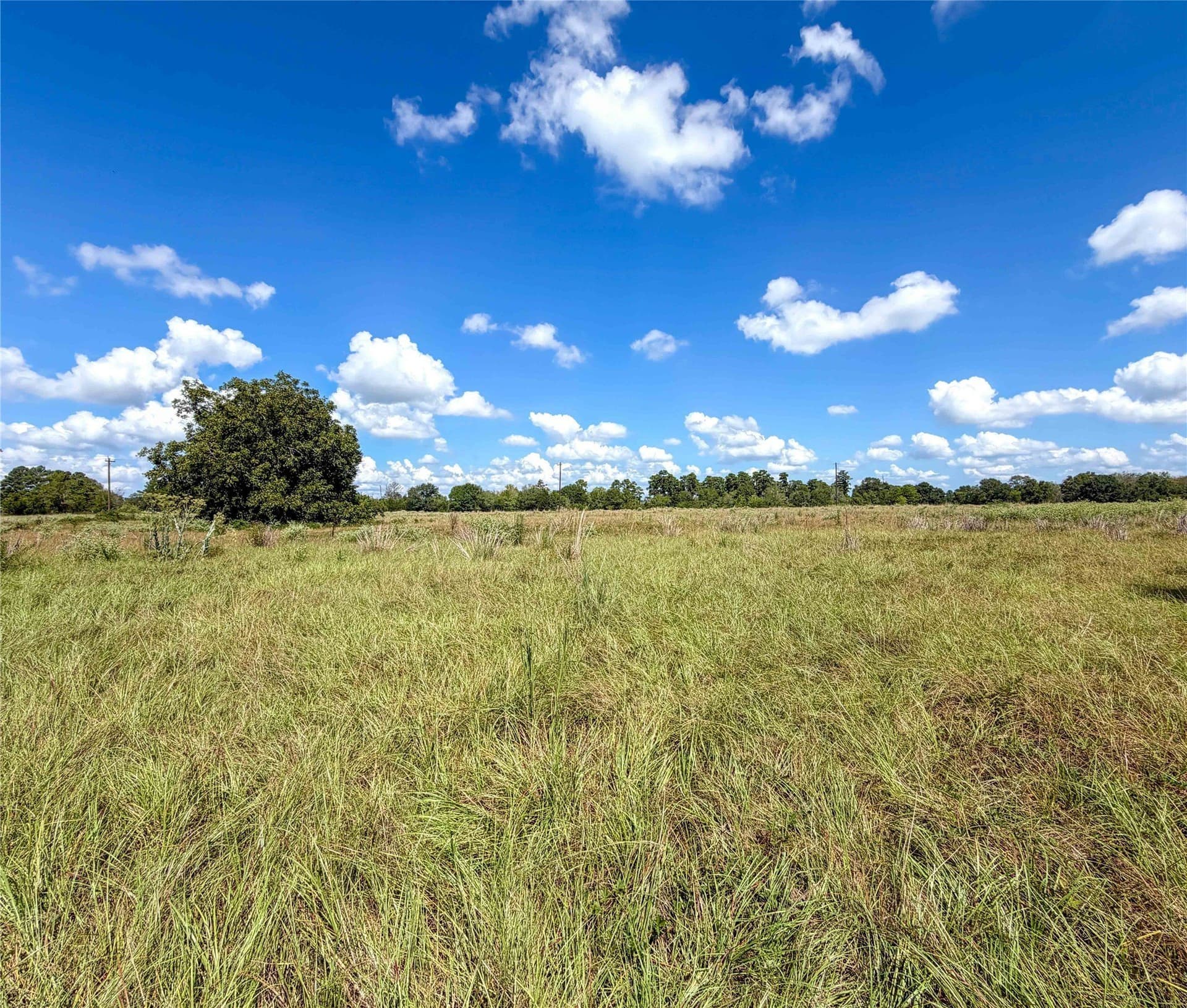 13.67 acres in Houston County - photo 15