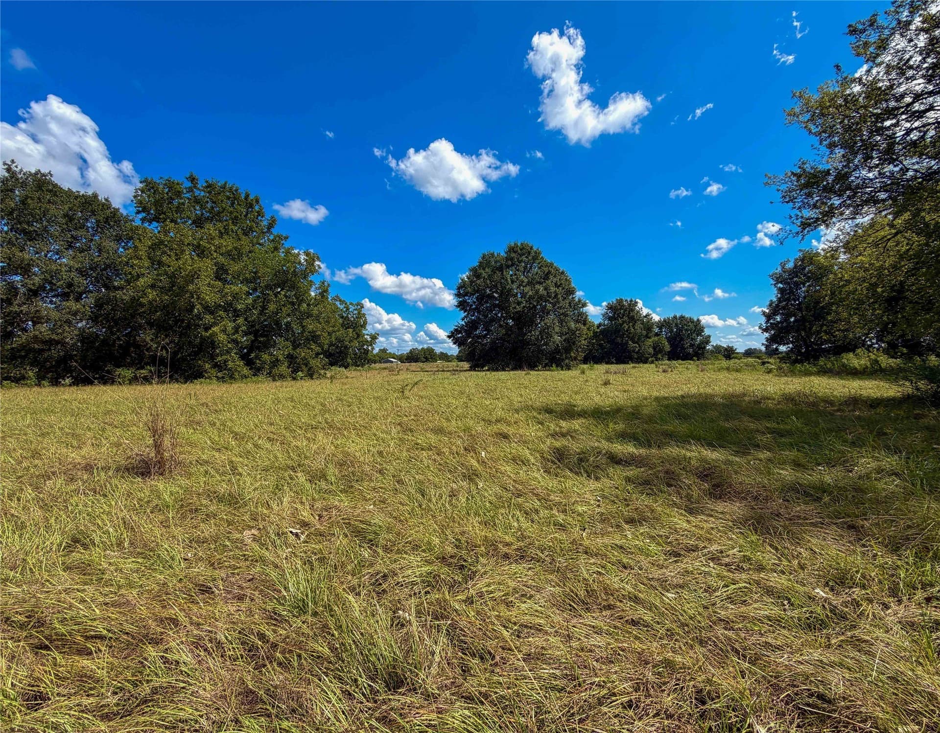 13.67 acres in Houston County - photo 10