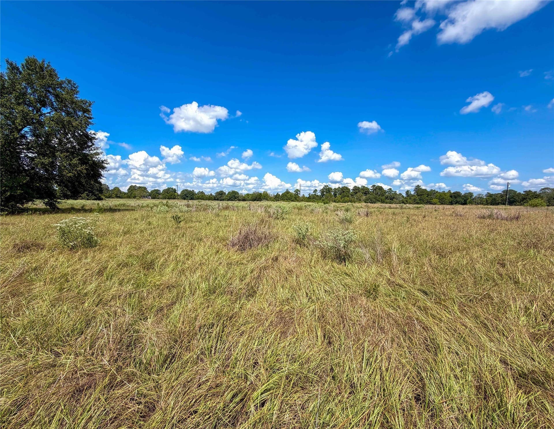 13.67 acres in Houston County - photo 18