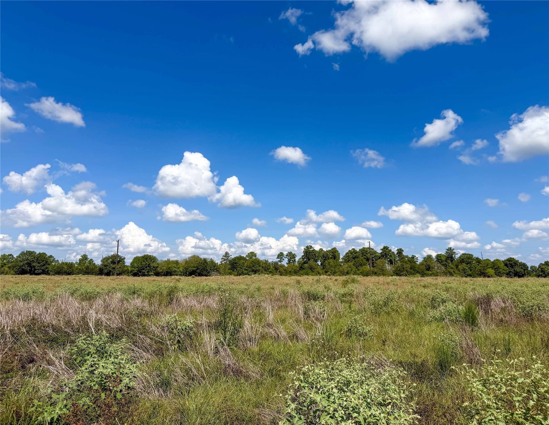 13.67 acres in Houston County - photo 16
