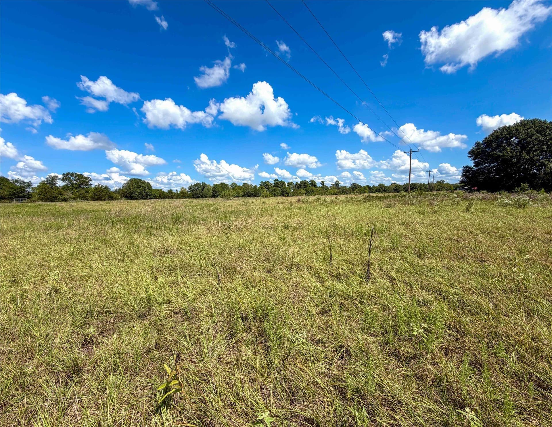 13.67 acres in Houston County - photo 8