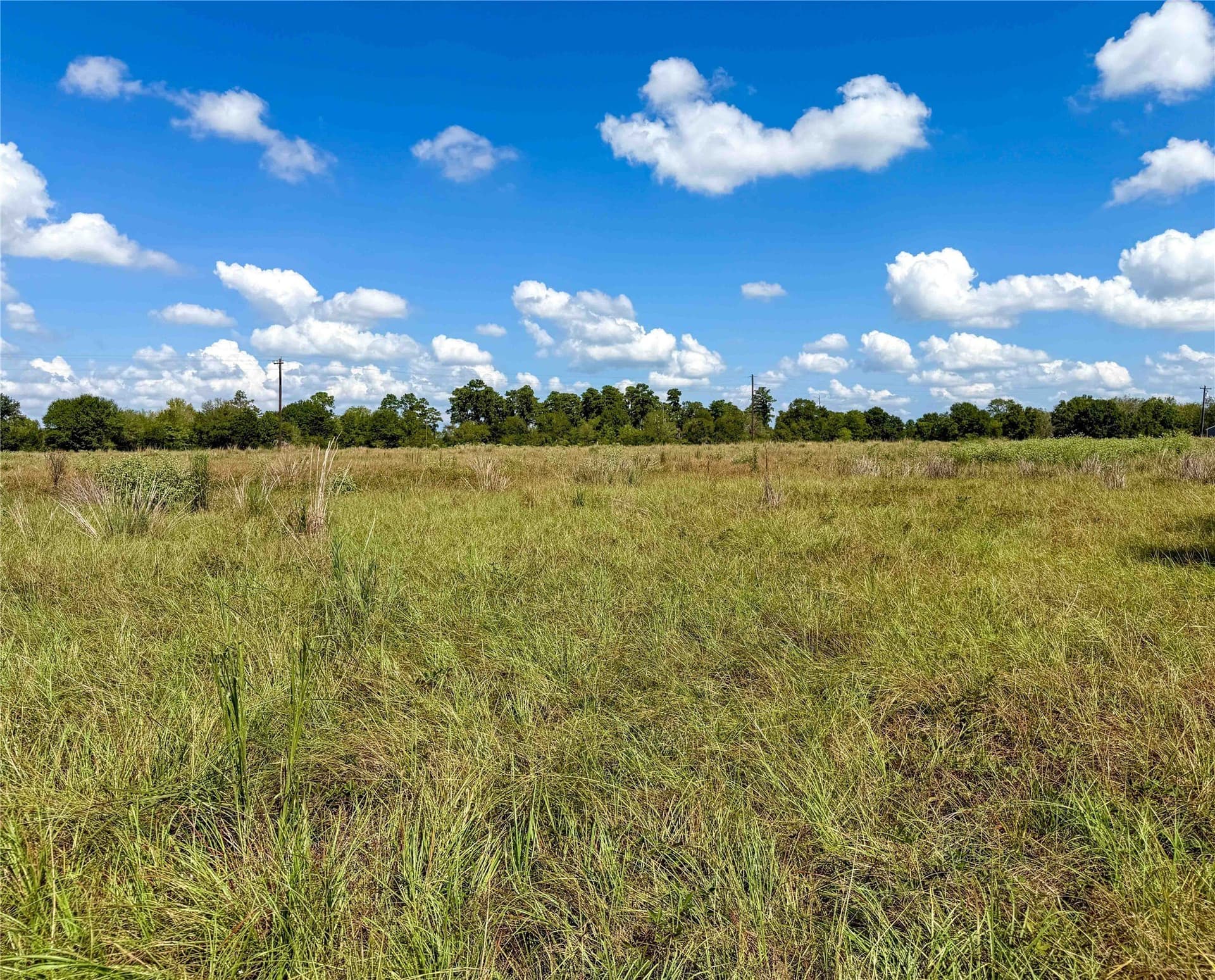 13.67 acres in Houston County - photo 14