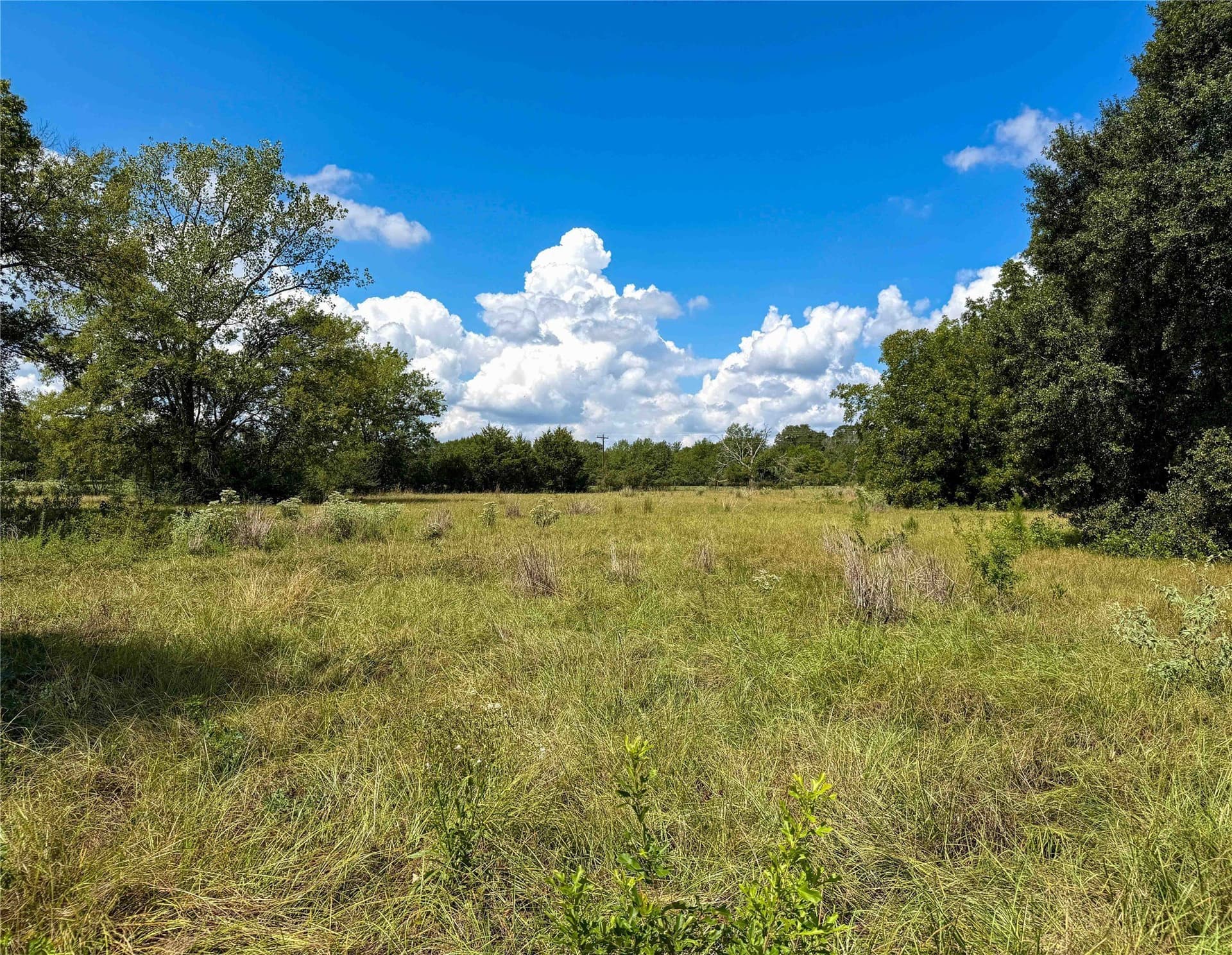 13.67 acres in Houston County - photo 13