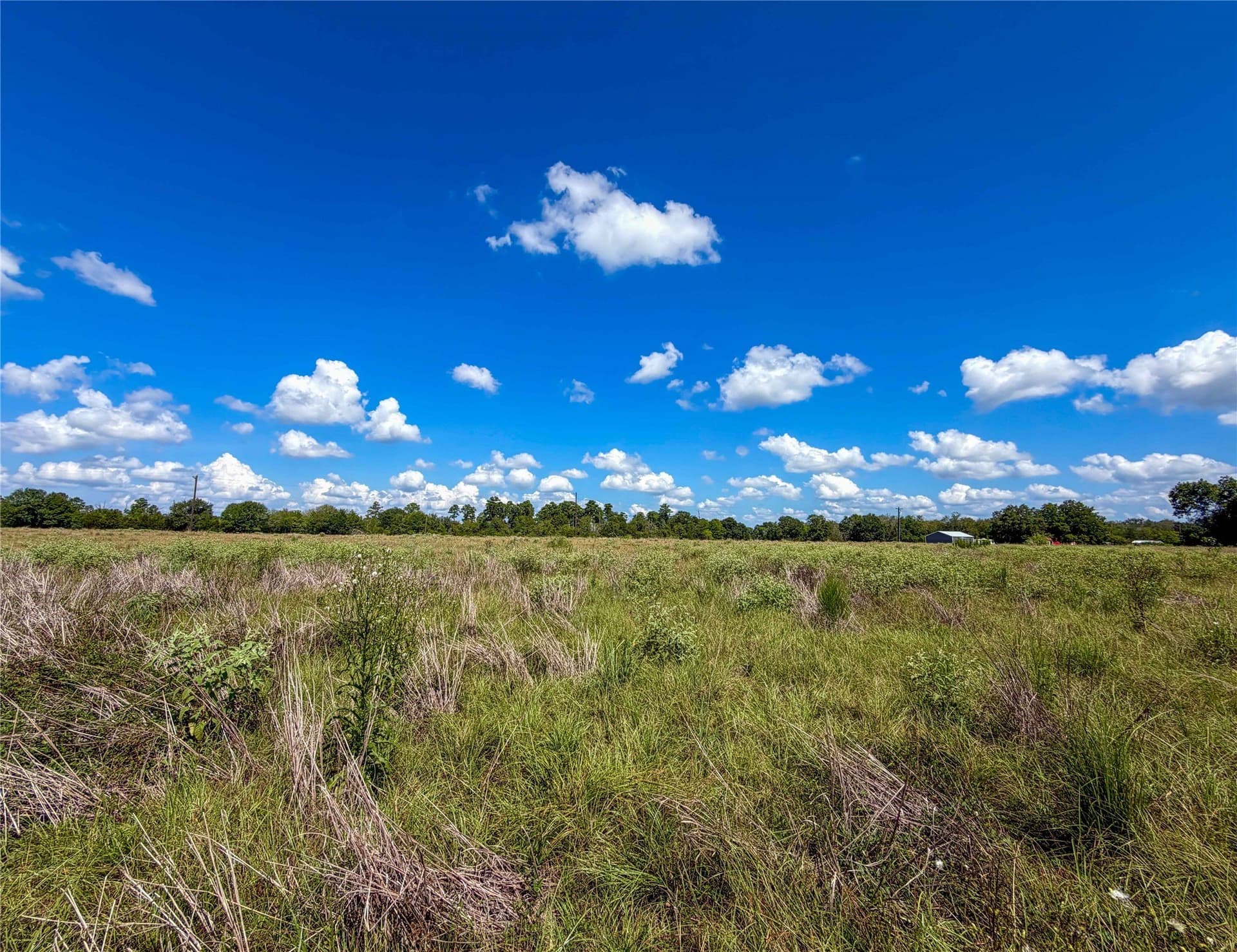 13.67 acres in Houston County - photo 17