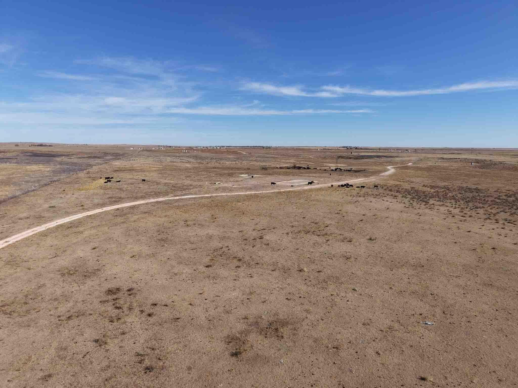 480 acres in Hemphill County gallery image 4