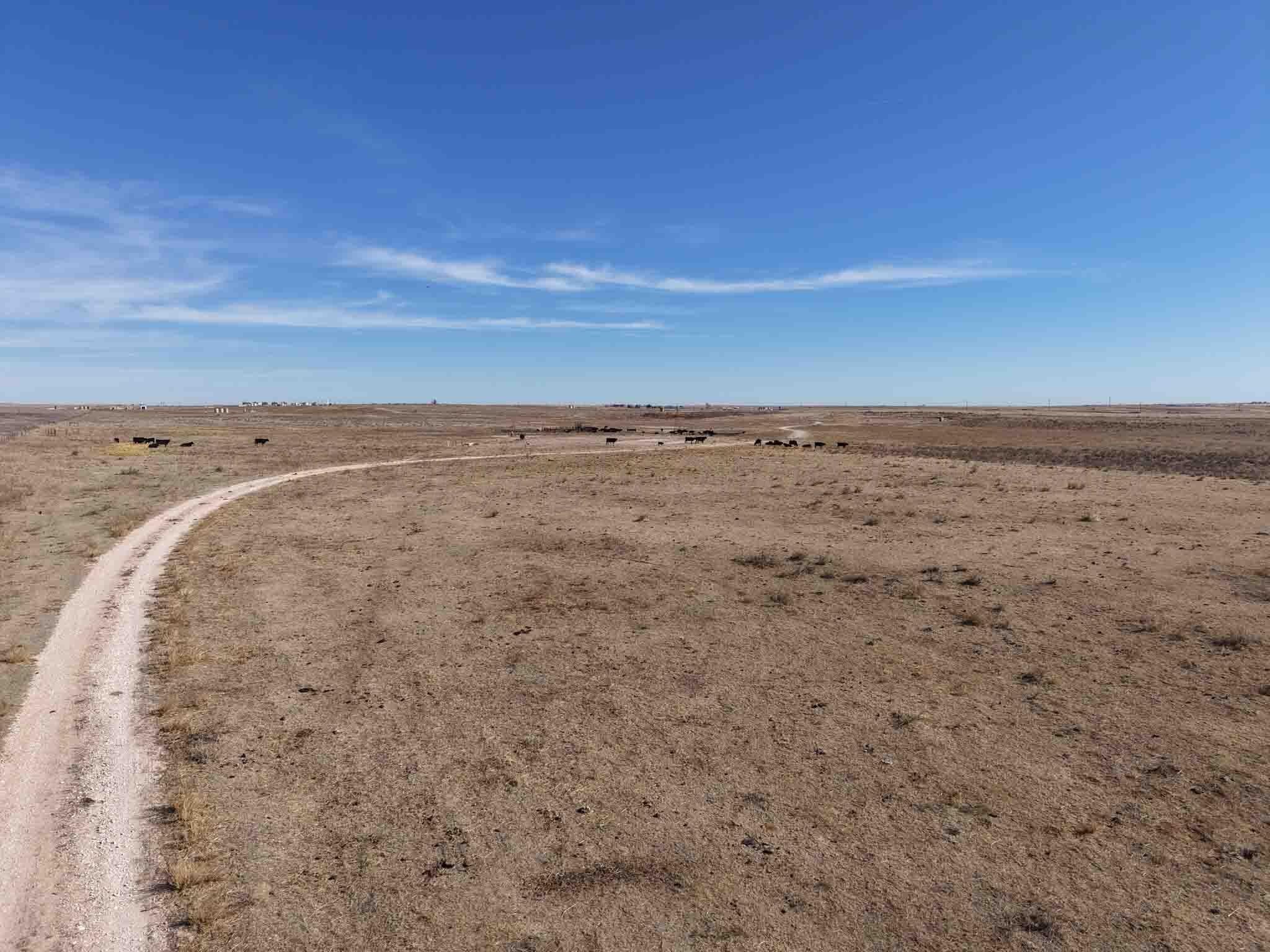 480 acres in Hemphill County gallery image 2