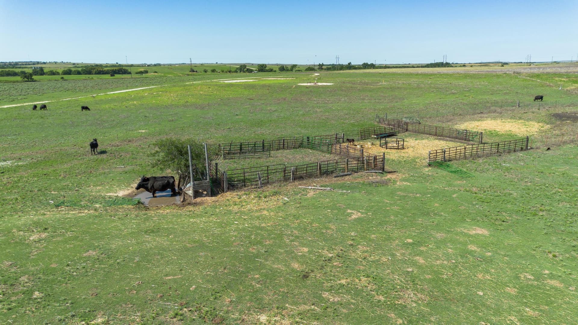 480 acres in Hemphill County - photo 11
