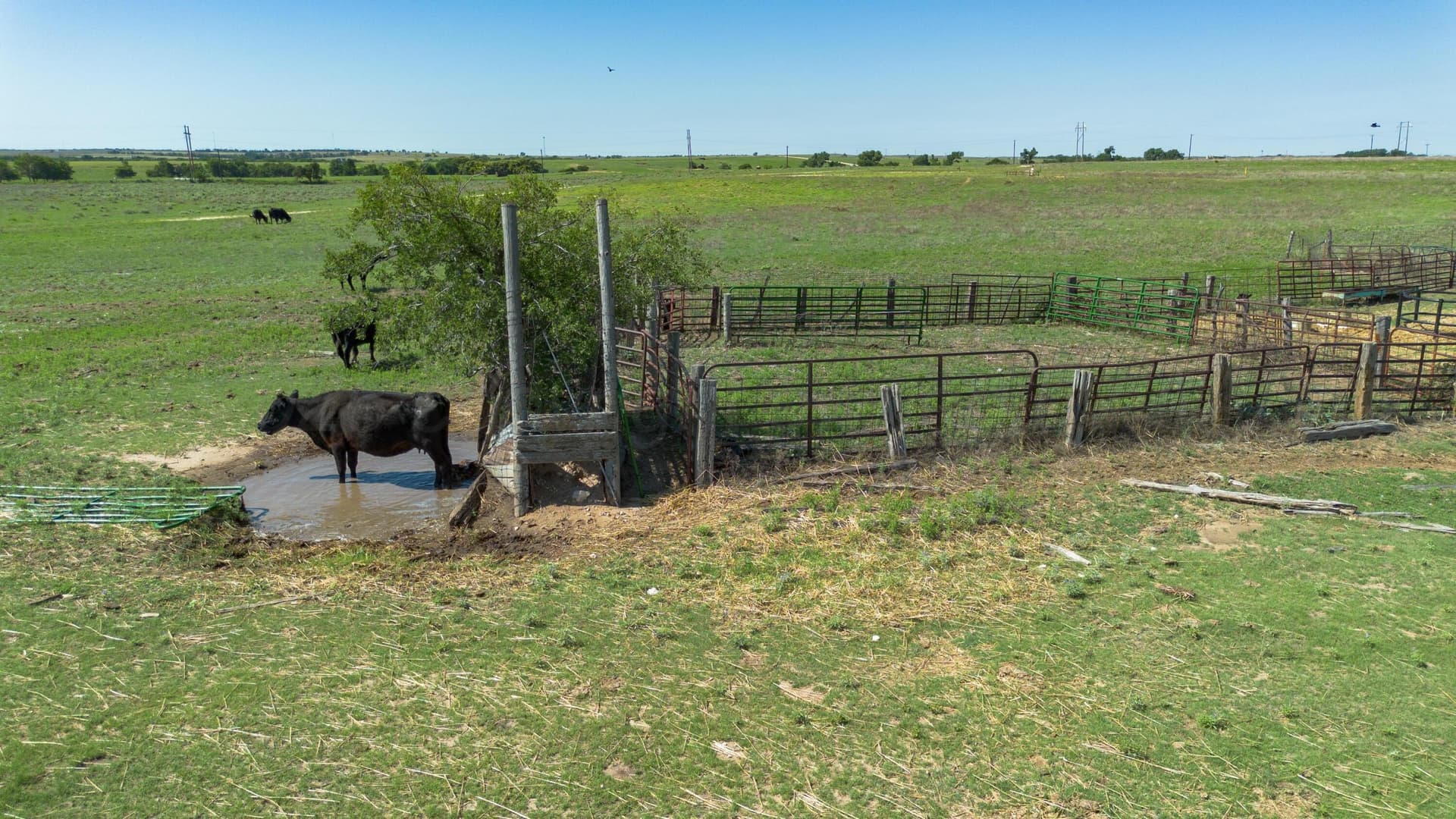 480 acres in Hemphill County - photo 12