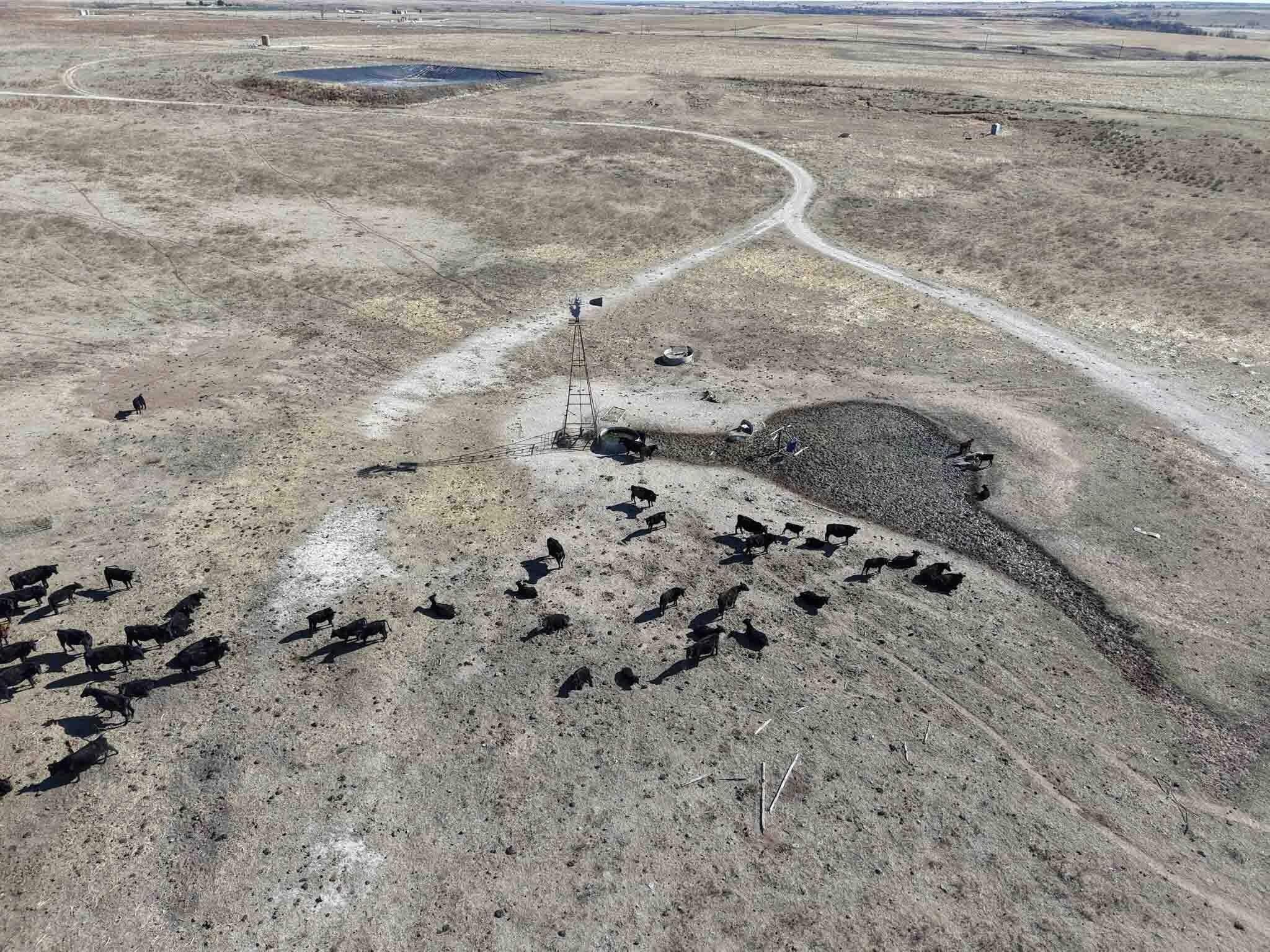 480 acres in Hemphill County featured view