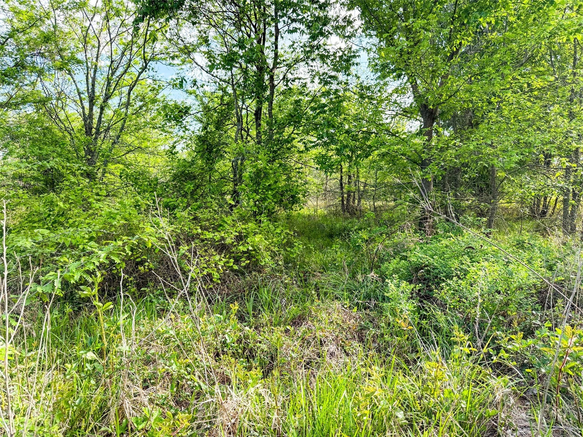 11.07 acres in Van Zandt County - photo 15