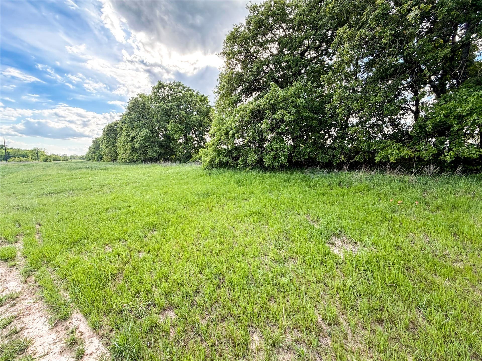 11.07 acres in Van Zandt County - photo 13