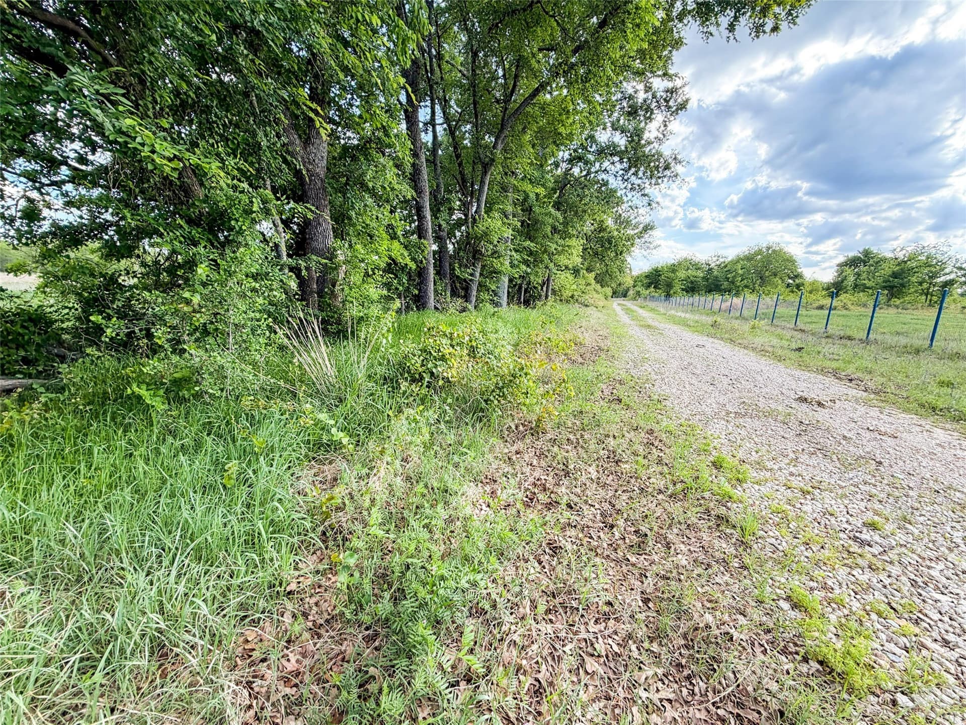 11.07 acres in Van Zandt County - photo 12