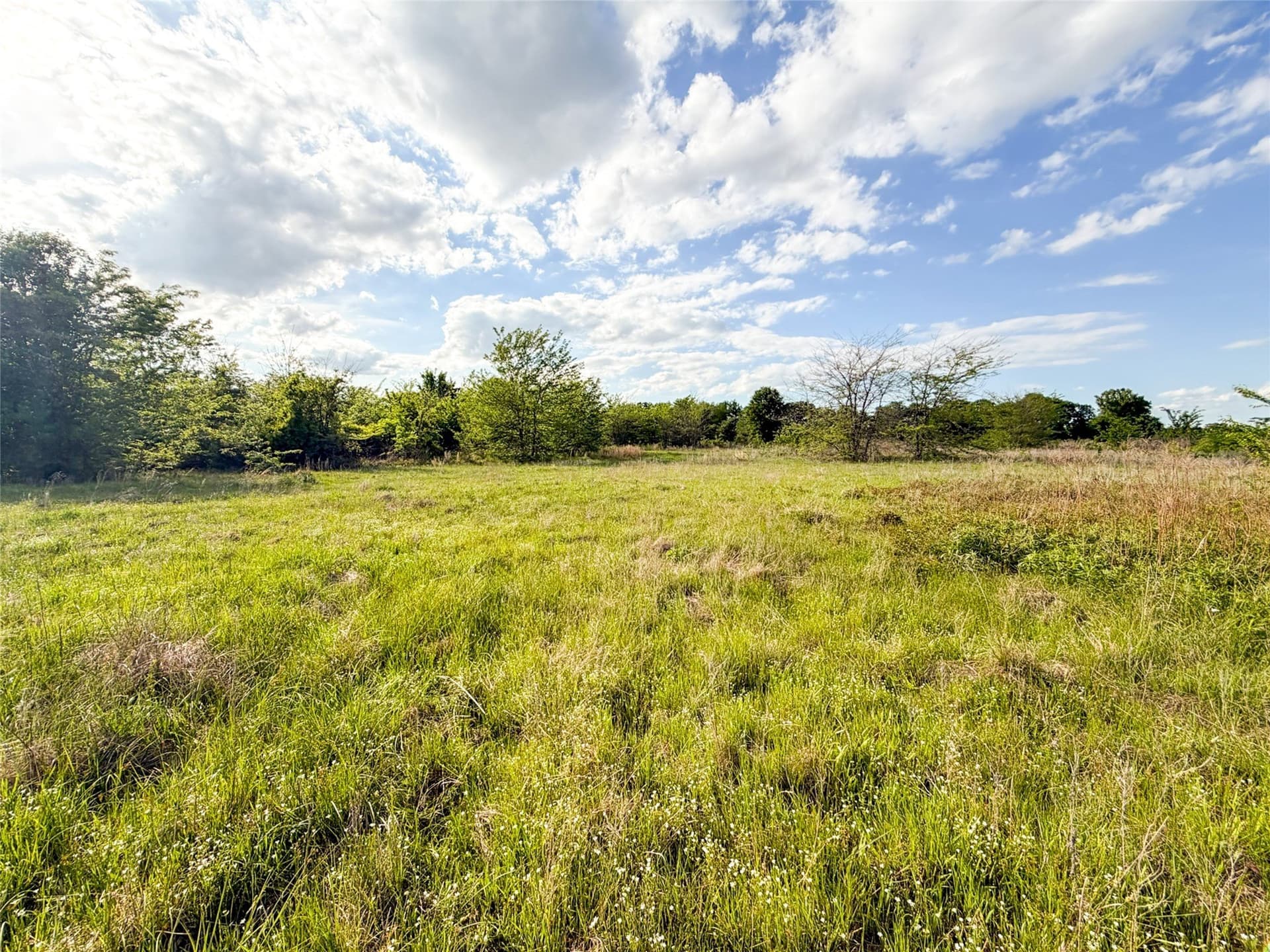 11.07 acres in Van Zandt County - photo 17