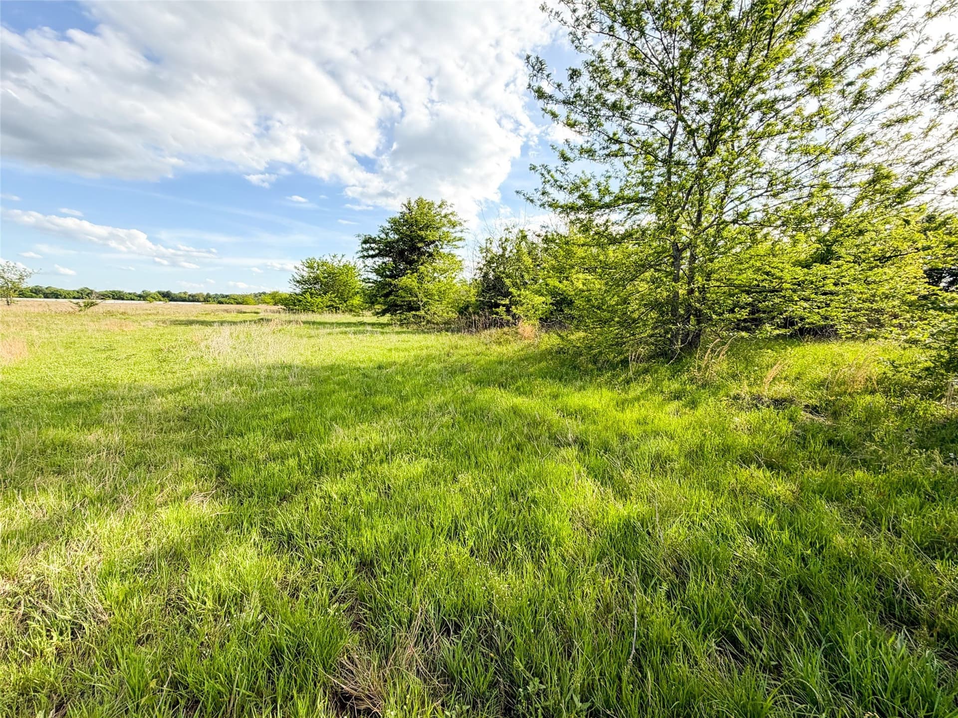 11.07 acres in Van Zandt County - photo 16