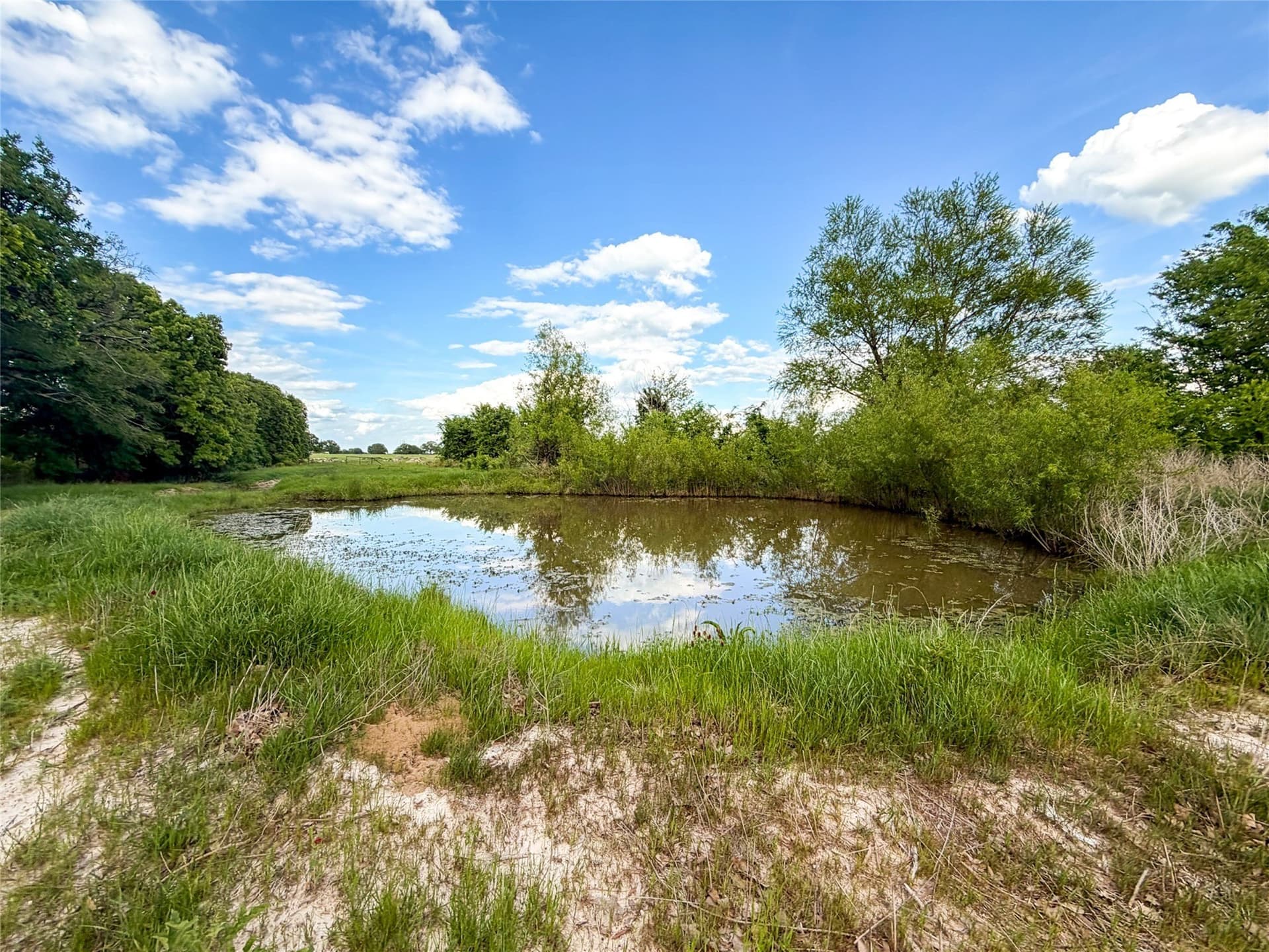 11.07 acres in Van Zandt County - photo 14