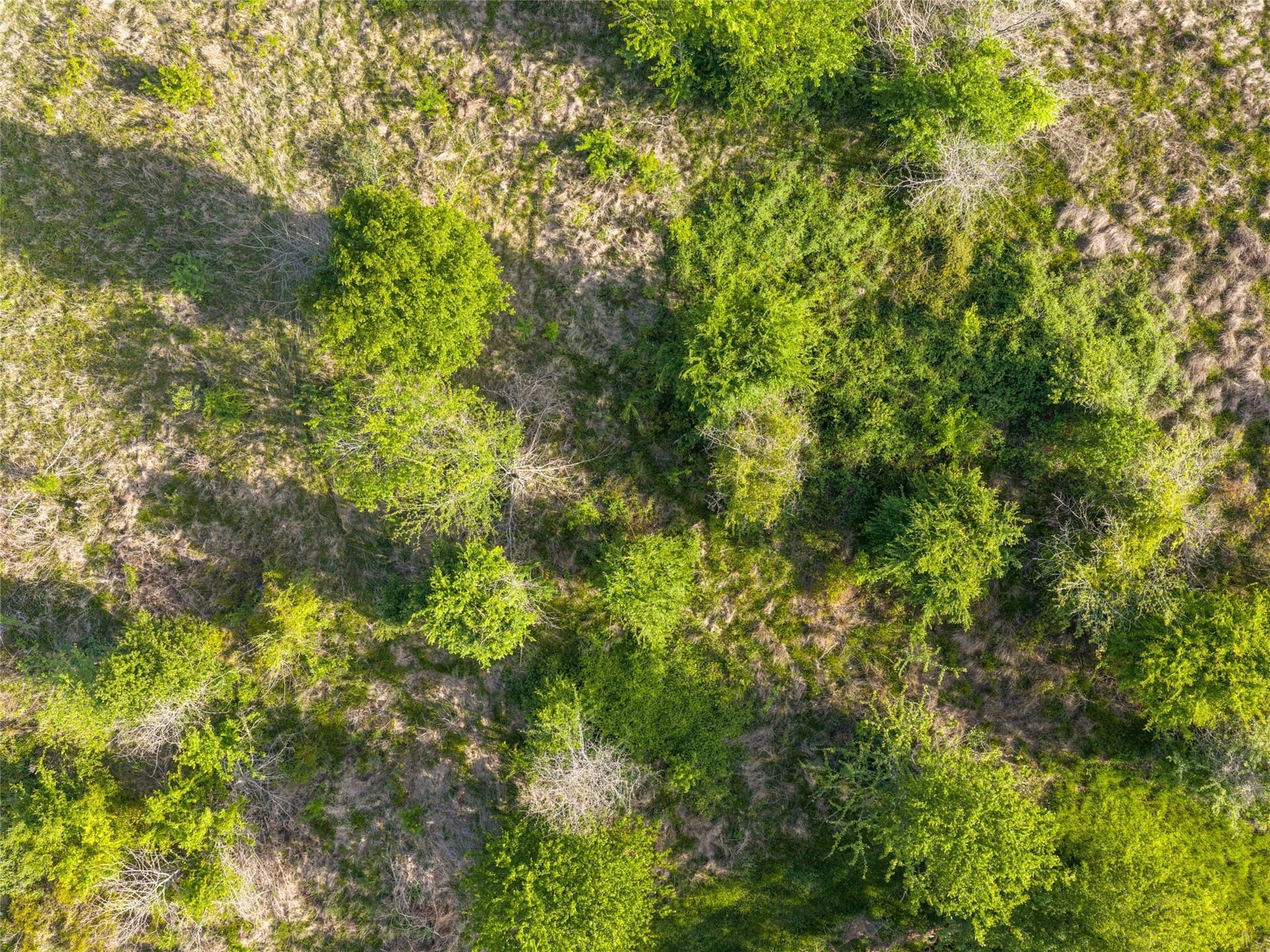 11.07 acres in Van Zandt County - photo 9