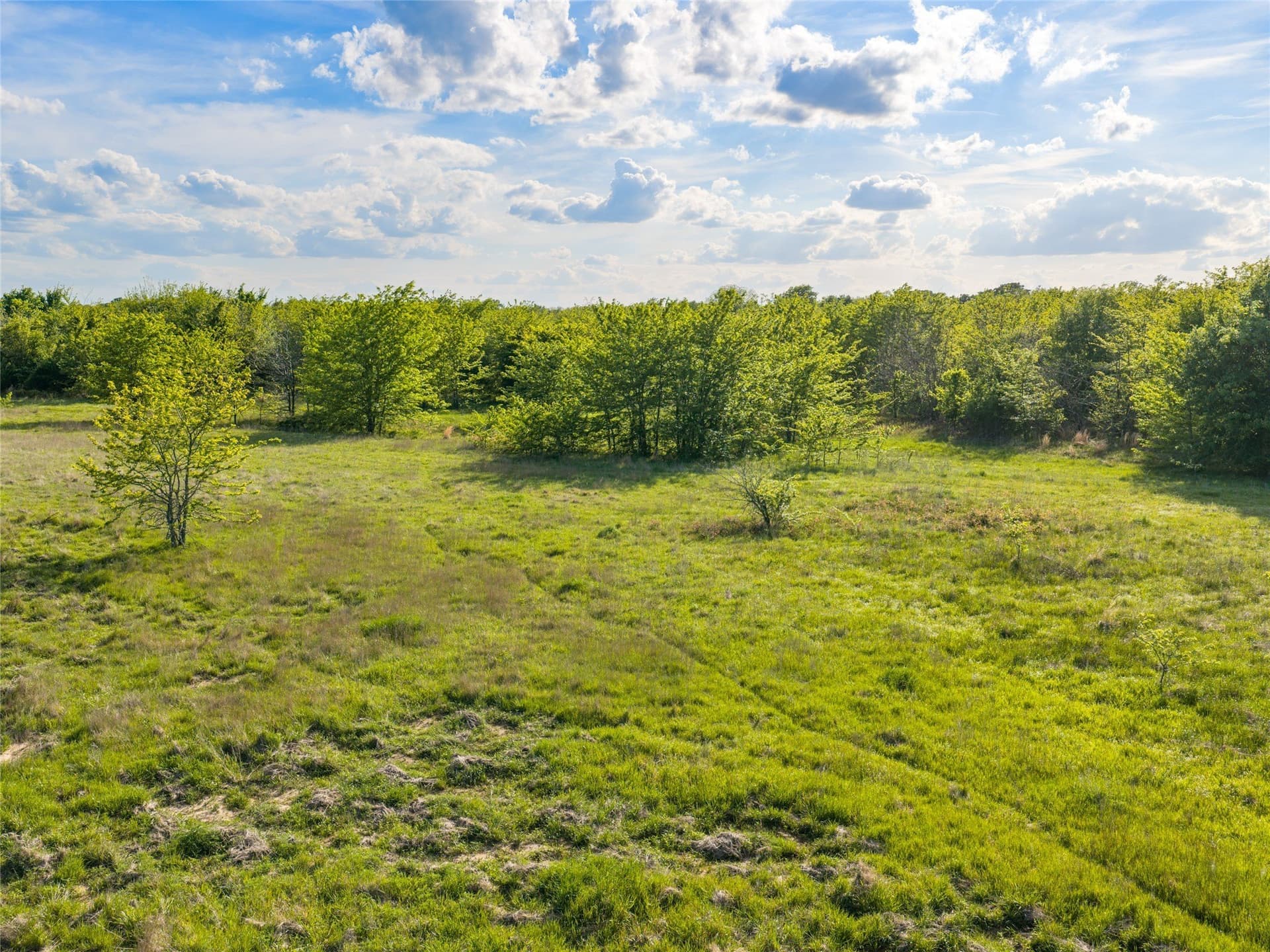 11.07 acres in Van Zandt County - photo 11