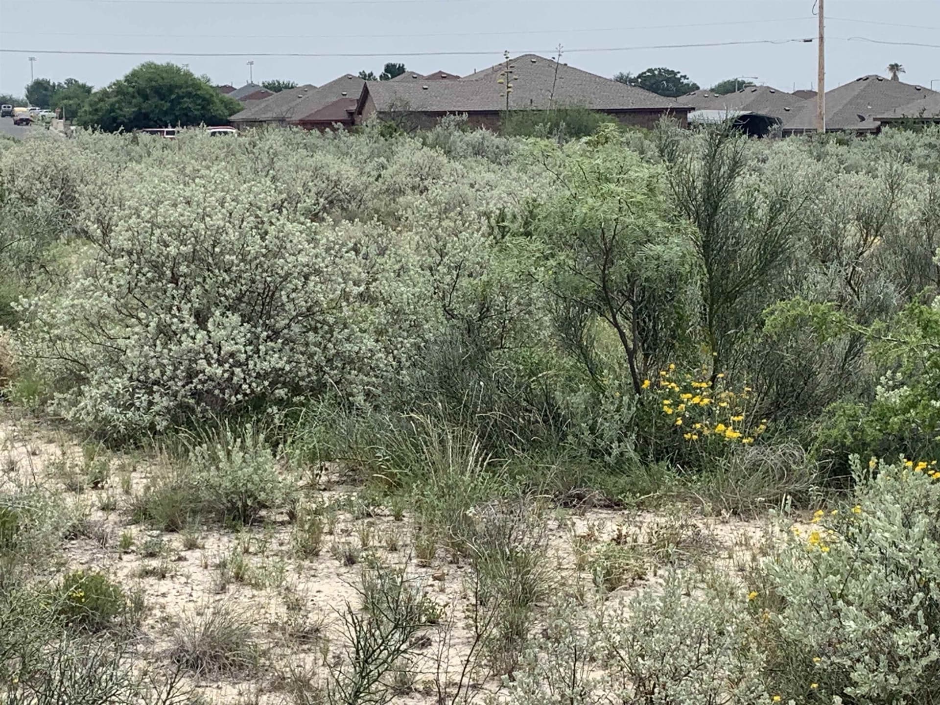 0.21 acres in Val Verde County
