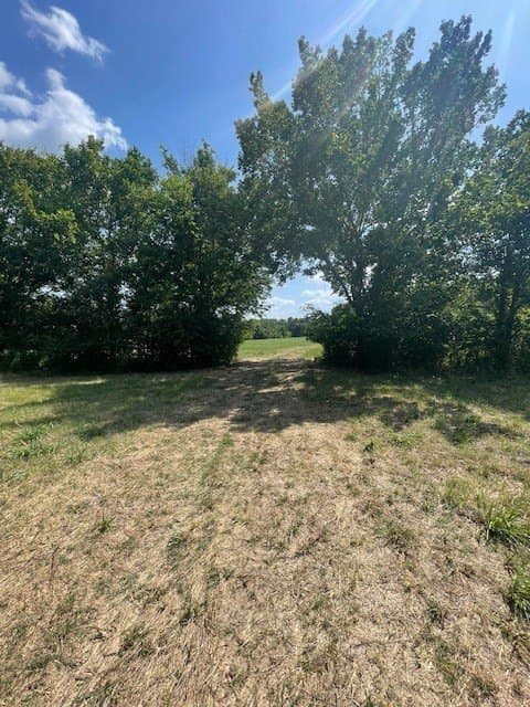 34.5 acres in Van Zandt County - photo 5