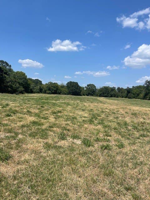 34.5 acres in Van Zandt County - photo 13