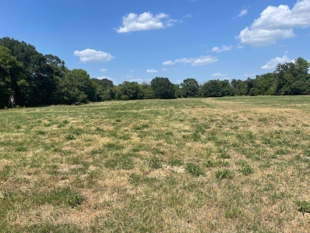 34.5 acres in Van Zandt County - photo 11