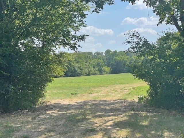 34.5 acres in Van Zandt County - photo 2
