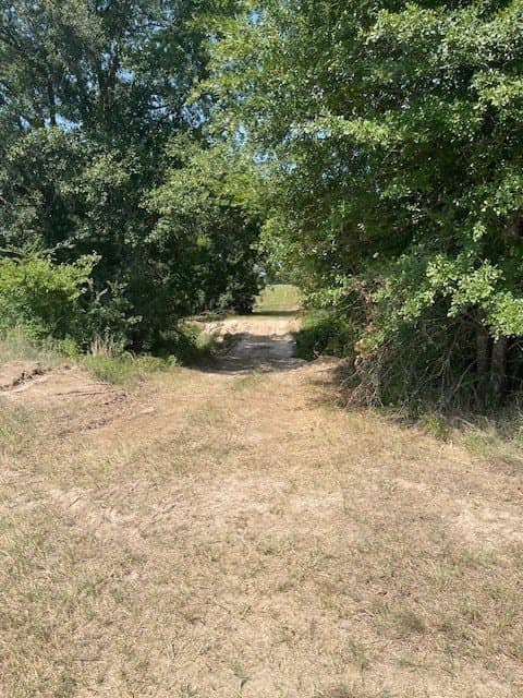 34.5 acres in Van Zandt County - photo 10