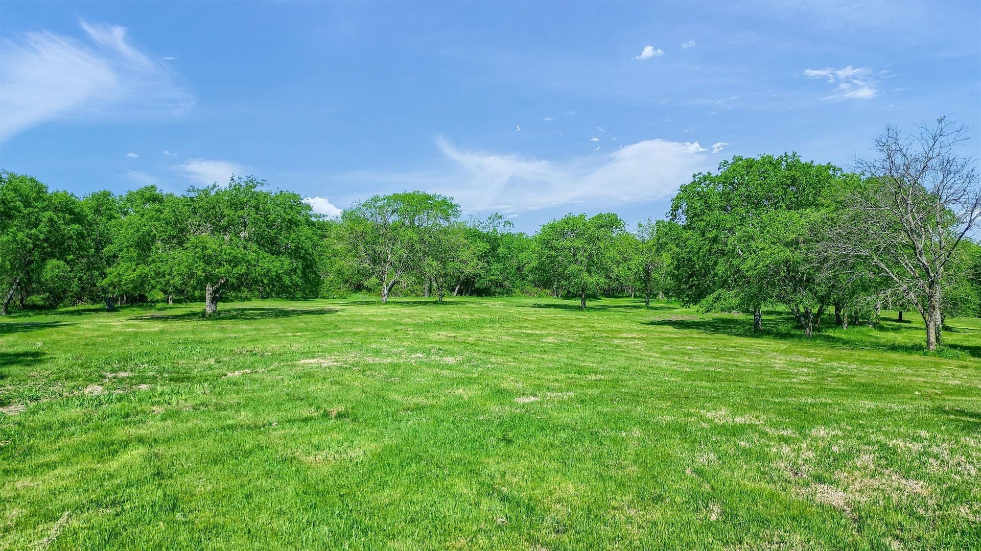 26 acres in Grayson County - photo 7