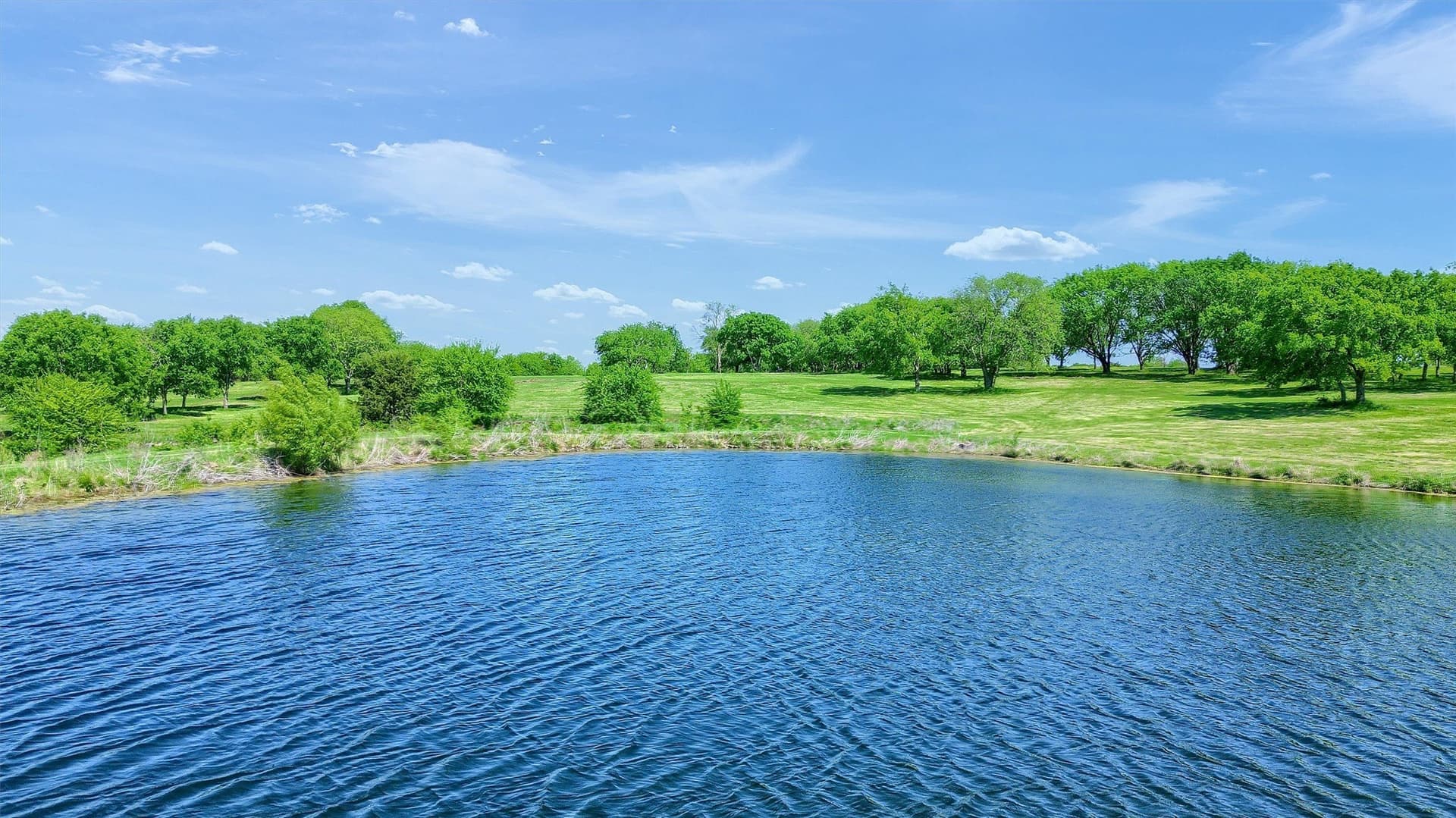 26 acres in Grayson County - photo 6