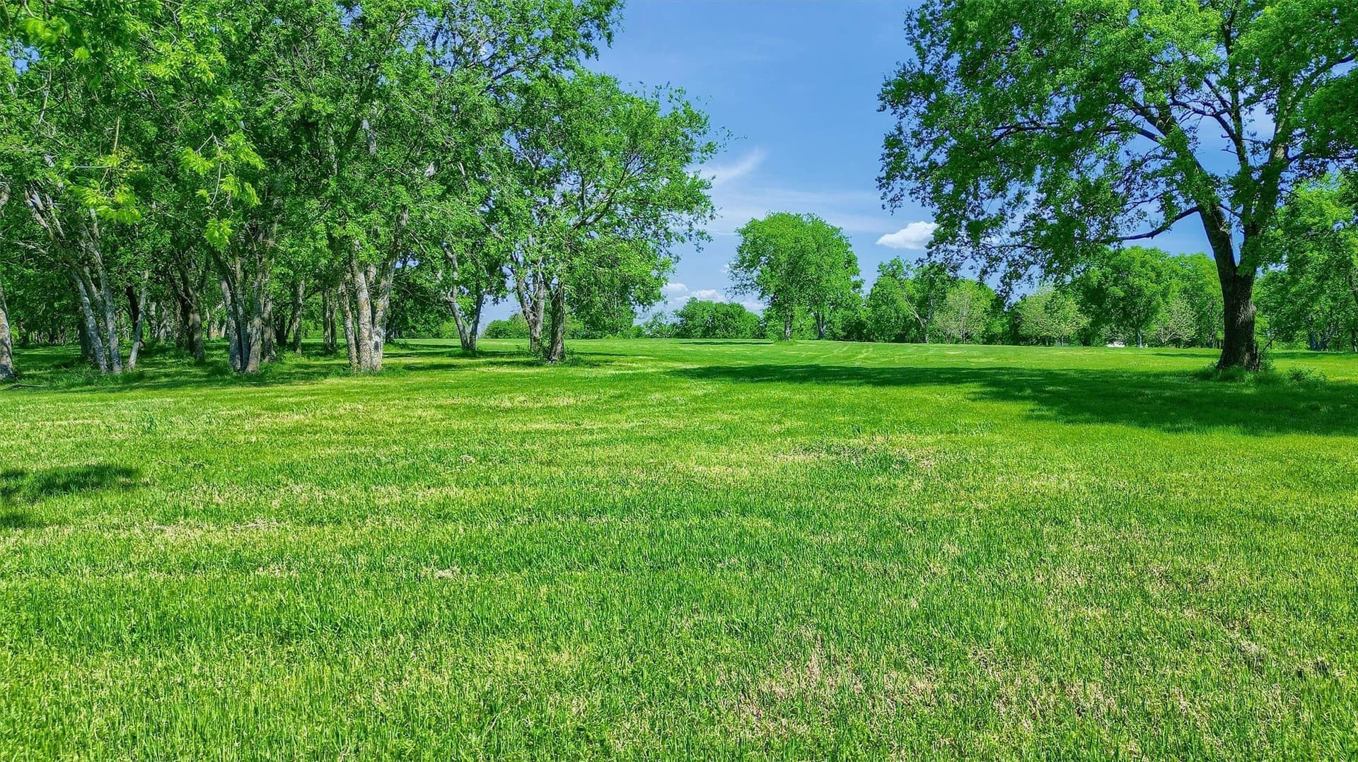 26 acres in Grayson County - photo 10