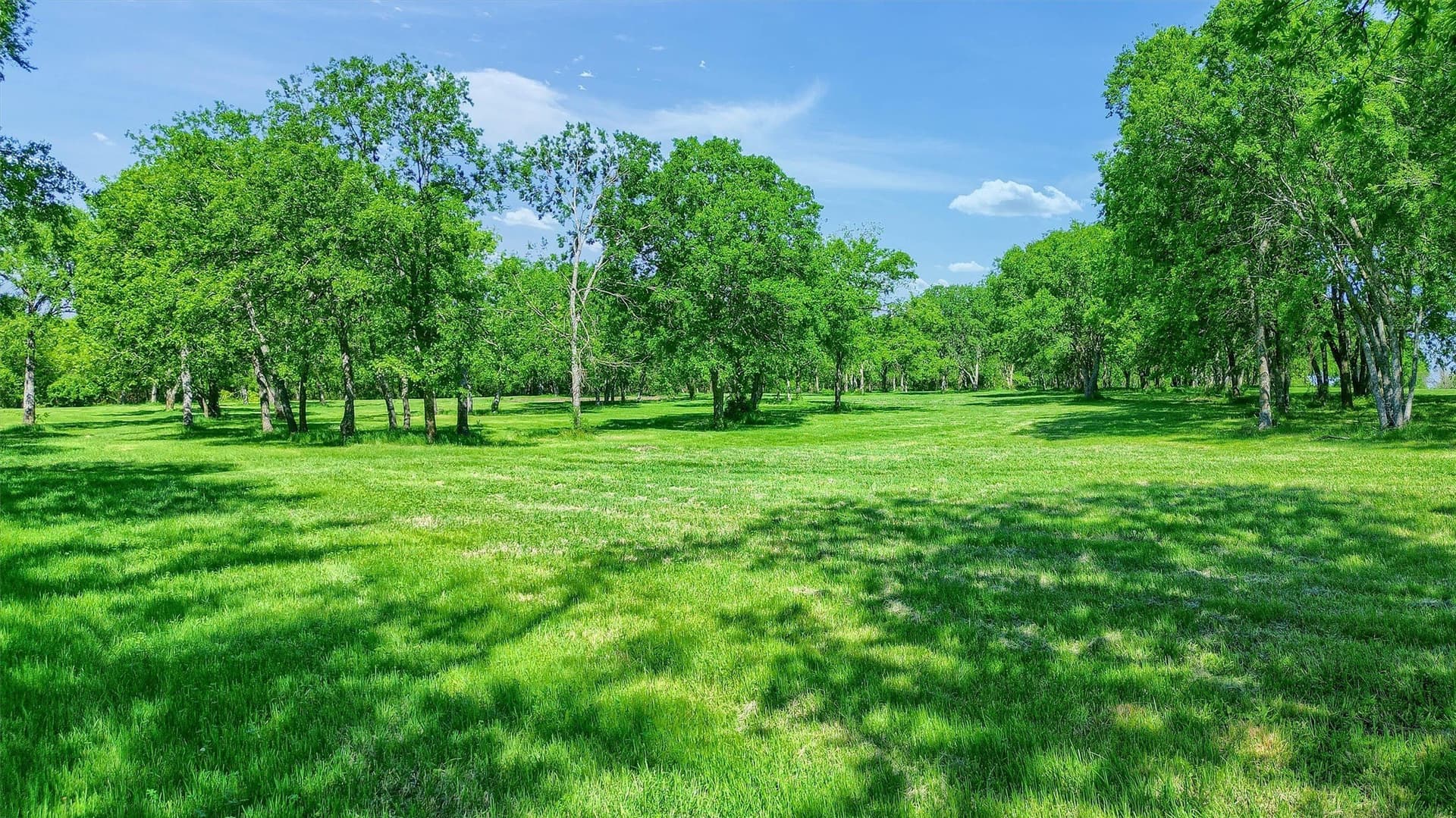 26 acres in Grayson County - photo 5