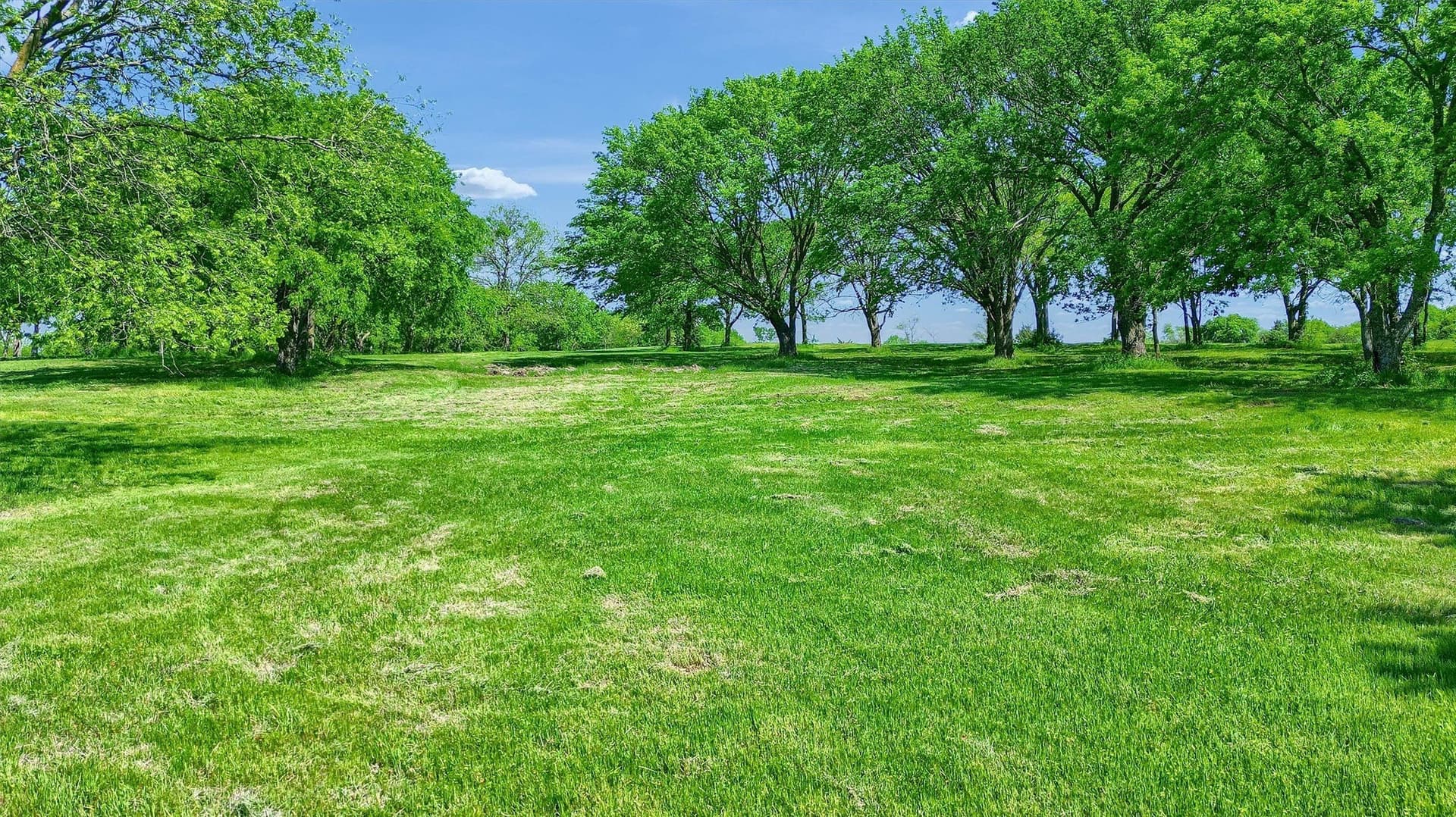 26 acres in Grayson County - photo 29