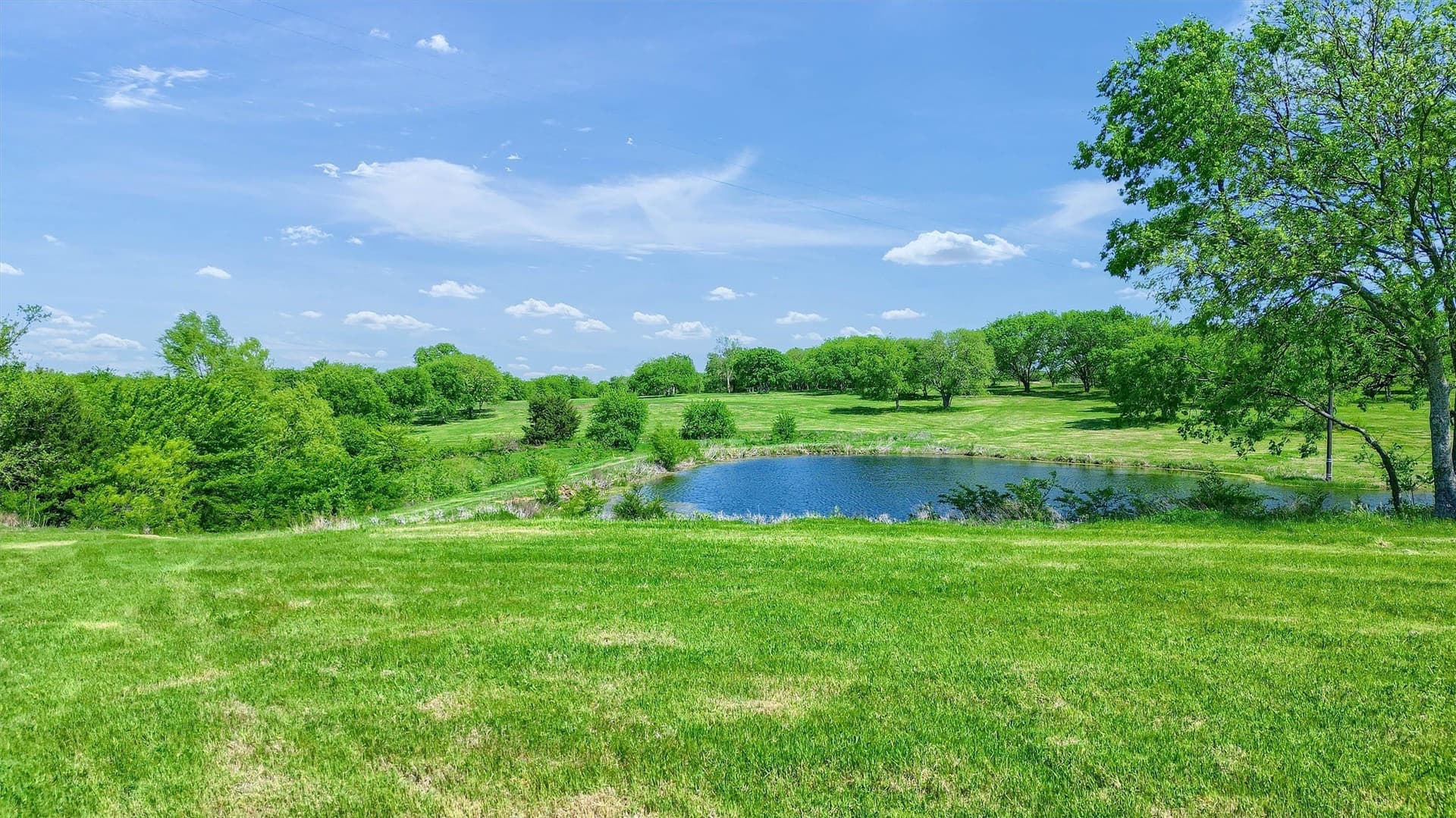 26 acres in Grayson County - photo 27