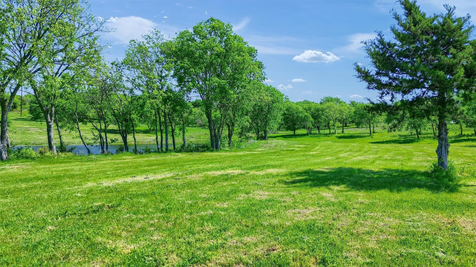 26 acres in Grayson County - photo 26
