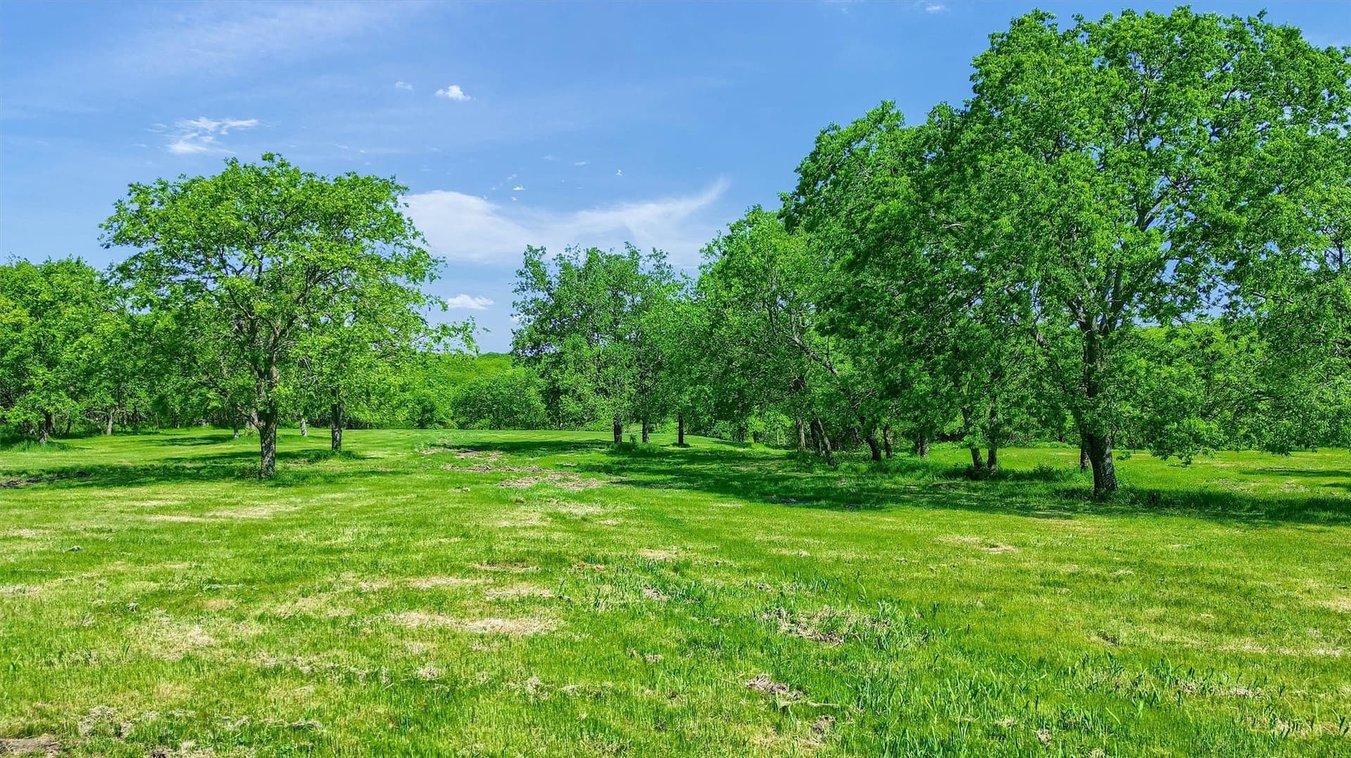 26 acres in Grayson County - photo 25